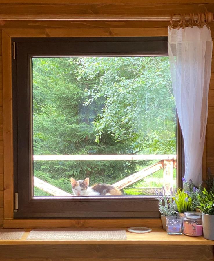 Lawendowy Domek Tp Sułkowice Dış mekan fotoğraf